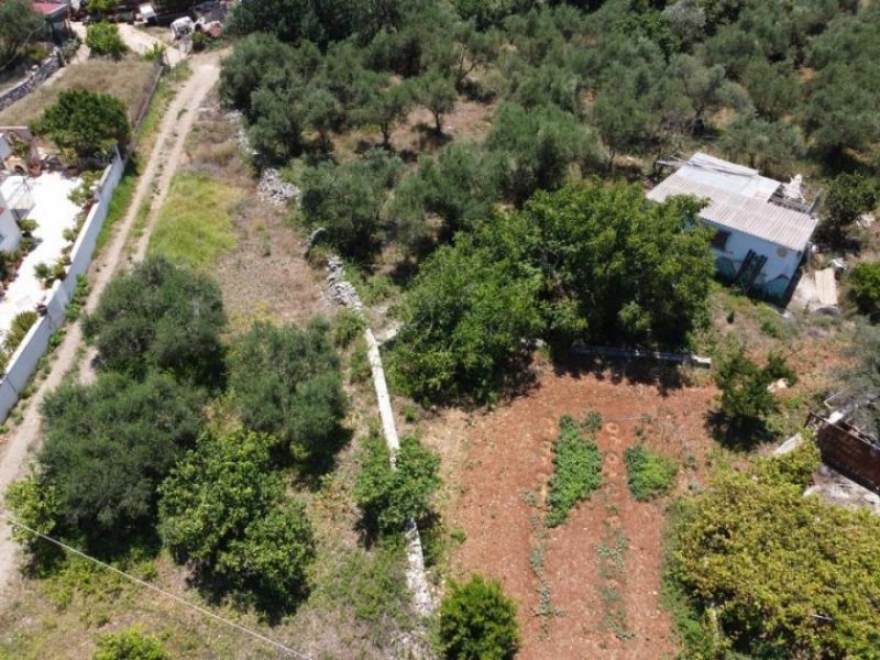 Gavalochori Schönes Grundstück innerhalb des Dorfes in Gavalochori zum Verkauf Grundstück kaufen